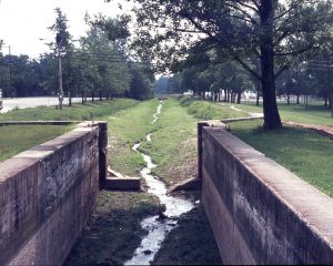 NBHA slides1289